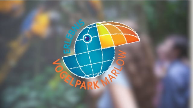 Referenzbild der neuen Website für Vogelpark Marlow. Im Hintergrund eine Aufnahme aus dem Vogelpark. Im Vordergrund Logo des Unternehmens.